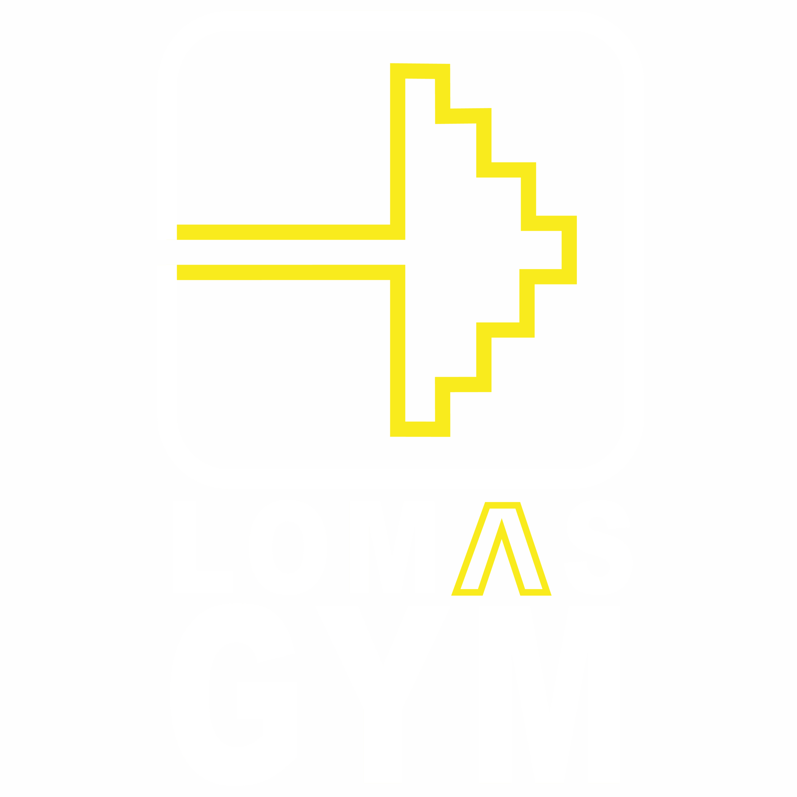 LOMAS GYM